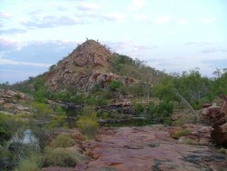 La colline, refuge des wallabies des rochers à Bell Gorge