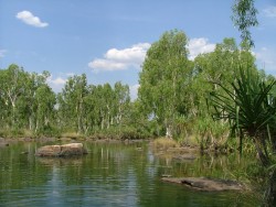 L'oasis de Manning Gorge