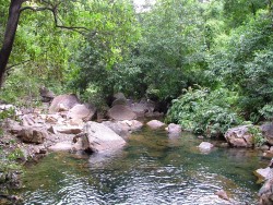Cristal Pool