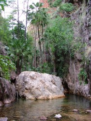 Un des nombreux bassins naturels d'El Questro Gorge