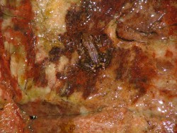 Les grenouilles sont de la partie