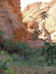 Magnifique vision d'Echidnae Gorge