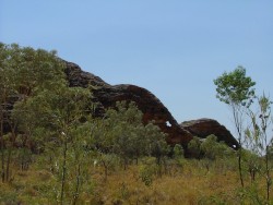 On a retrouvé les éléphants dans les Bungle Bungle