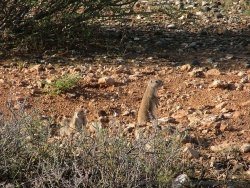 afs_2008_1026(016)
