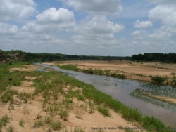 Rivière aux alentours du camp de Letaba