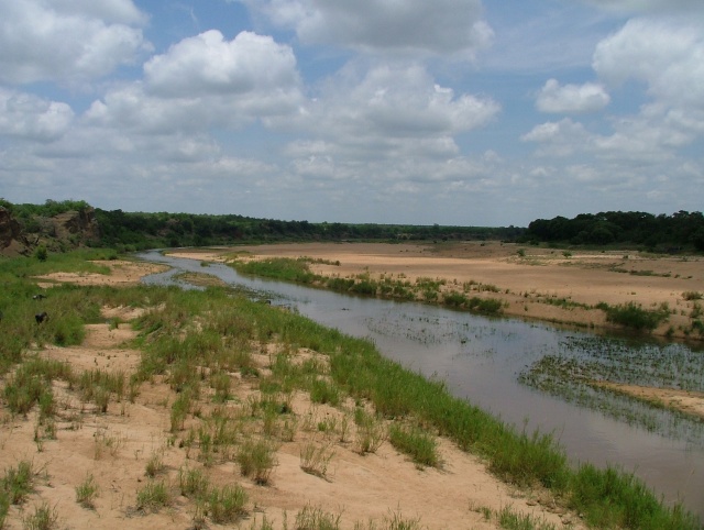 Rivière aux alentours du camp de Letaba