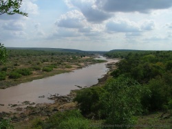 Vue sur la rivière Olifants
