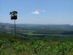 Trip Afrique du Sud - Kenya 2010