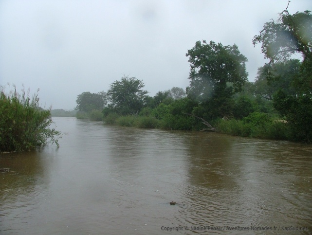 afskenya20101206-110208