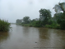 afskenya20101206-110208