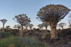 Afrique du Sud - Namibie - Zambie 2014/2015