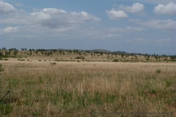 Une belle plaine de savane