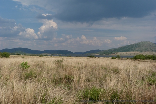 Le Pilanesberg offre une belle variété de paysages