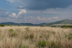 Le Pilanesberg offre une belle variété de paysages