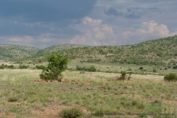 En cette période de l'année, les paysages sont très verdoyants