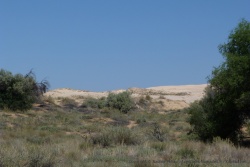 La réserve naturelle de Witsand doit son nom au sable blanc de ses dunes