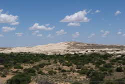 Une des nombreuses superbes dunes de Witsand NR