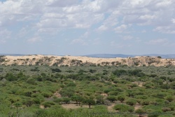 En dehors des sentiers battus, Witsand NR mérite le détour