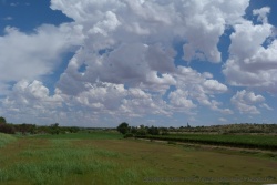 Avec l'eau à disposition, le grand Karoo se transforme en terre fertile et verdoyante