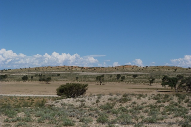 Nous sommes heureux de retrouver ces paysages familiers du KTP