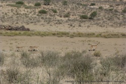 afrique-du-sud-2014-1212-175615