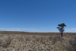 Ces panoramas désolés nous rappellent que le KTP est bien dans le désert du Kalahari