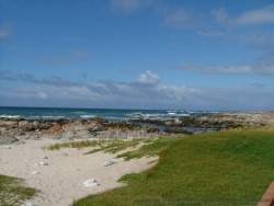 La côte aux alentours de Port Elizabeth est très sauvage