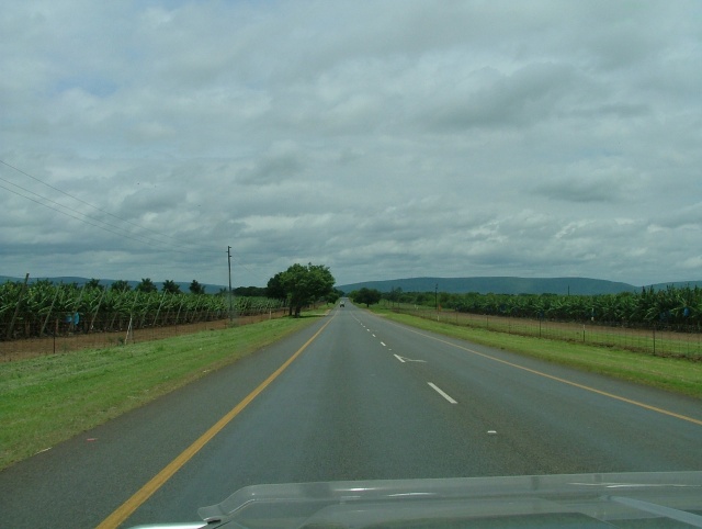 Dans la province de Mpumalanga, l'industrie minière fait place à l'agriculture intensive