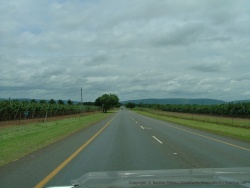 Dans la province de Mpumalanga, l'industrie minière fait place à l'agriculture intensive