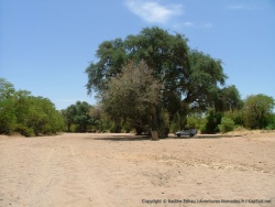 afs_2008_1102(002)