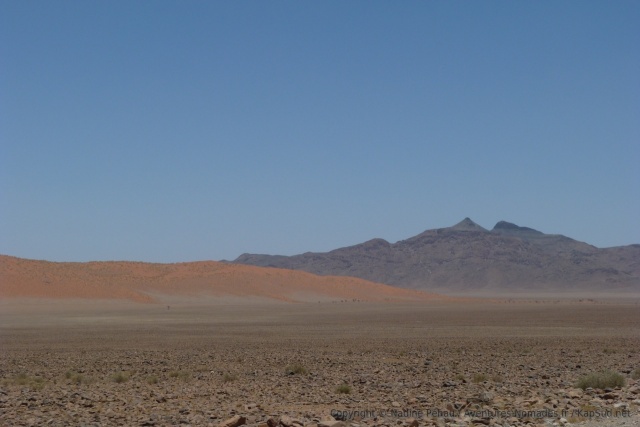 Spectacle fascinant des dunes rencontrant les montagnes