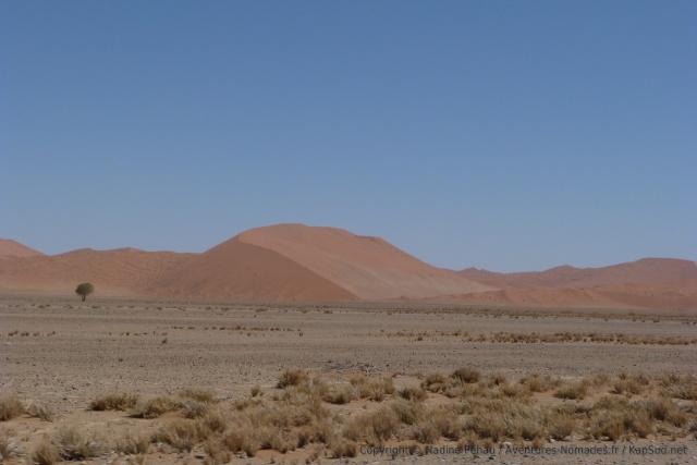 Enfin les voilà, les dunes géantes du désert de Namib