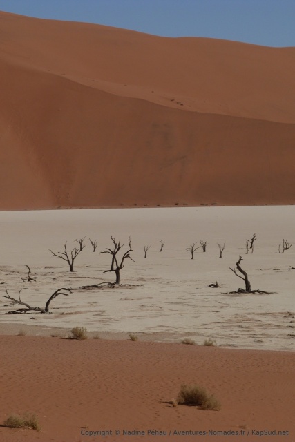 Deadvlei, un contraste de couleurs détonnant 