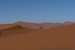 La mer de dunes ocres s'étale jusqu'à l'océan