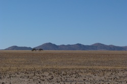 Dans cette partie du Namib-Naukluft NP, les montagnes ne sont jamais loin