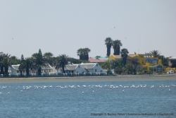 Walvis Bay, station balnéaire très côtée e la Namibie