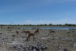 namibie-2014-1228-094710