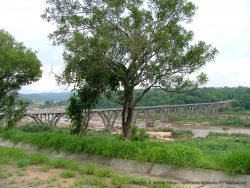 Impressionnant pont qui enjambe la rivière Pungoé, juste avant le parc de Gorongosa