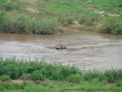 Pêcheur en plein travail