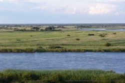 Même si on n'est pas encore dans le delta, la rivière Okavango nous en livre parfois un avant-goût