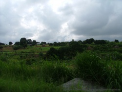 Paysages très verdoyants