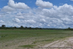 De vastes plaines tapies d'une herbe bien verte mais dépeuplées