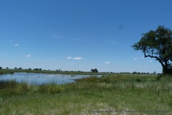 Beaucoup de plans d'eau en plus de la rivière elle-même