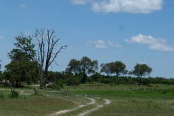 La piste débouche sur une plaine avec plusieurs plans d'eau