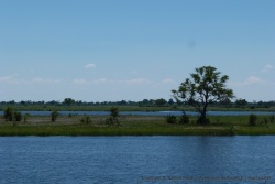 L'eau est de plus en plus omniprésente