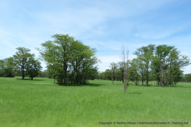 Les bords de route de la Zambie sont tapies d'herbes d'un vert éclatant