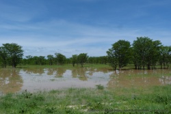 A de nombreux endroits, les bords de route sont déjà inondés