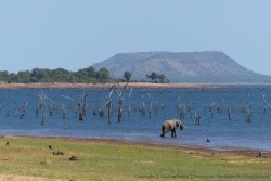 Zambie - Zimbabwe 2015