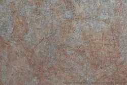 La célèbre peinture rupestre du rhinocéros blanc