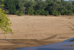 Les multiples traces d'animaux sur les berges témoignent de l'abondante faune sauvage